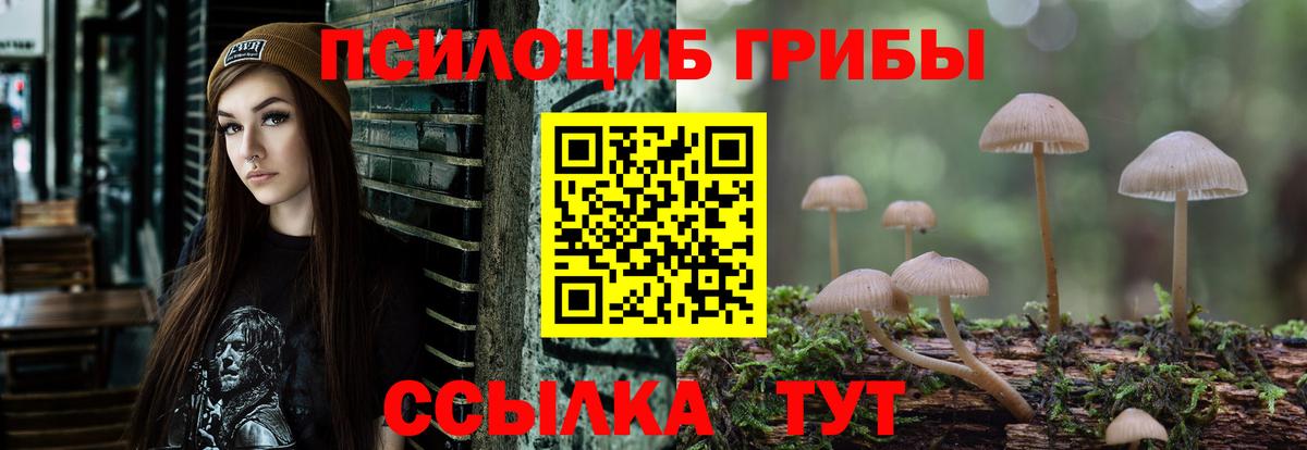 Сарапул  Галлюциногенные грибы Psilocybine cubensis  Вход с VPN  Галлюциногенные грибы Psilocybine cubensis 
