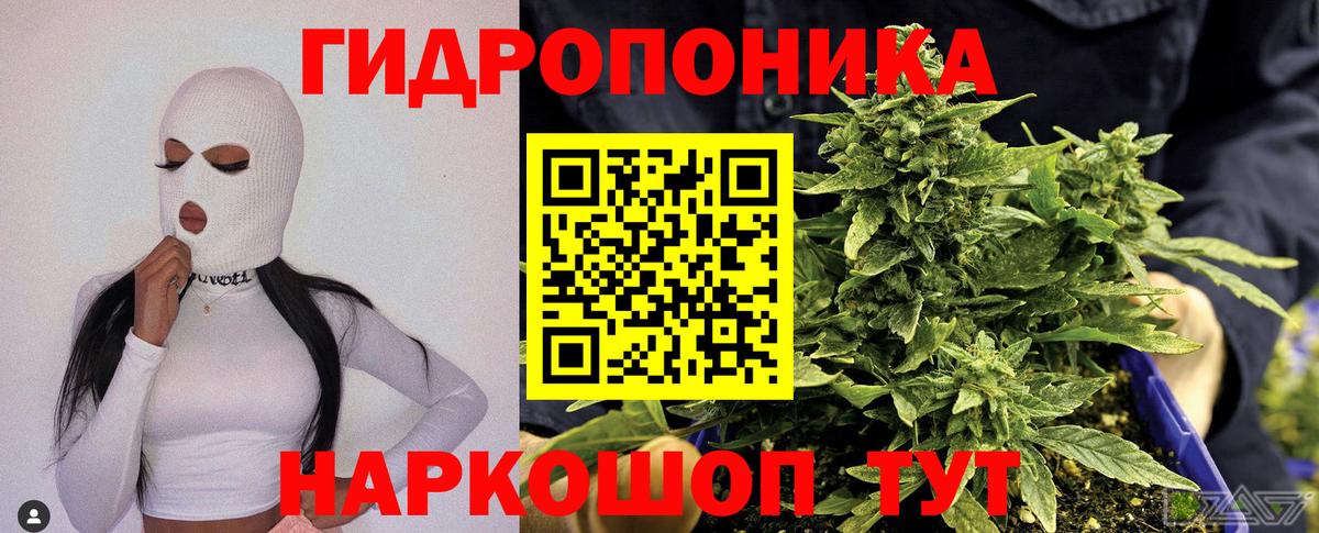 Марихуана OG Kush  Шишки марихуана планчик  Сарапул  Бошки Шишки семена  Вход с VPN  Шишки марихуана MAZAR 